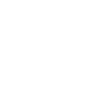 White Label Tours Logo White Transparent
